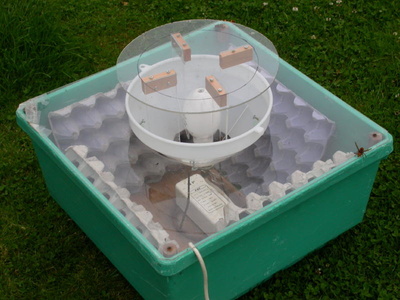 Moth trap - Kenneth Noble